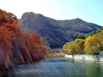 新澳天天开奖资料大全旅游团，张家界自驾游